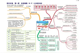 高效一轮复习！最全高中生物思维导图，扫清高中三年知识点图片