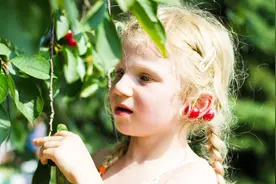 安徽定远：中英混血外甥女回外婆家，上山摘山栆，中文好，超可爱视频封面