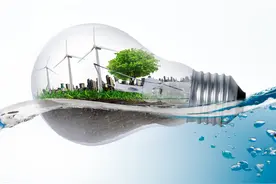 能源革命下省级电网企业清洁转型发展的管理 技术创新与实践 （下）图片