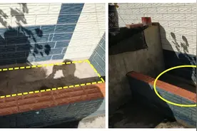 别再互相看不上了，院子里挖鱼池，防水确实重要，两种方法都靠谱图片