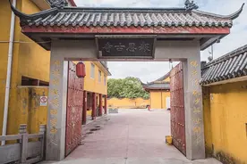 上海郊区的偏僻小寺，几十年收养5000个毛孩子，为住持点赞图片