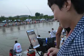 观察｜钓鱼领域作者收入锐减，不是规则改变，而是人设、思路混乱图片