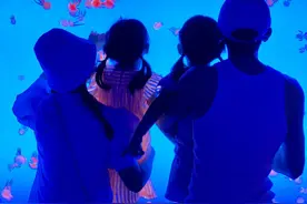 不容易！张杰谢娜晒照庆结婚9周年，双胞胎女儿才2岁身高惊人图片