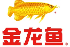 年赚60亿的粮油巨头金龙鱼，能否撑得起近5000亿的市值图片