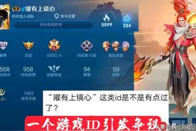 王者荣耀：玩家ID被质疑，起名字是自己的权利，别人有权指责吗？图片