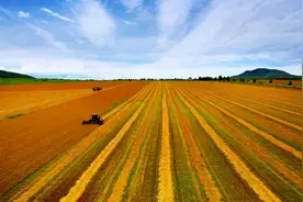 大趋势！农民变成产业工人，将会引发中国农业向上图片