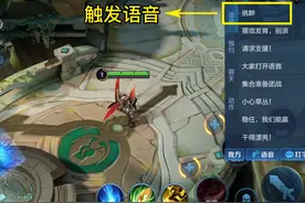 王者荣耀全英雄/皮肤挑衅语音汇总：215句嘲讽台词，花式调侃图片