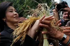 泰国法院驳回对前总理英拉“大米渎职案”的指控图片