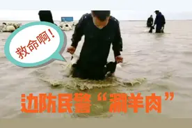 边防民警“涮羊肉”式救援1000余只被困羊图片
