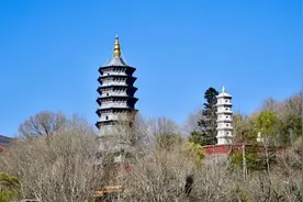 ​五台山、平遥古城景区将恢复工作日门票收费图片