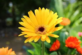 有些路，只能一个人走，路上的艰辛，只有自己知道 早安图片