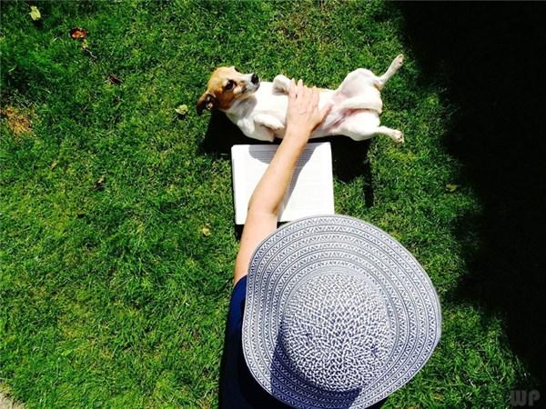 什么时候补充胶原蛋白 2026年从什么时候开始补充胶原蛋白 什么时候补充胶原蛋白 2026年从什么时候开始补充胶原蛋白