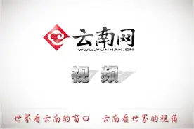 一男子指挥倒车惨被挤死 昆明交警提示：要了解驾驶的盲区图片