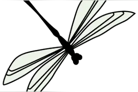 芳草百味｜这 “半寄生”植物，虽是农田的害草，却能治疗小儿疳积？——独脚金图片