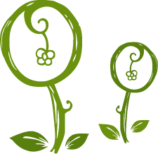 花胶是头胶吗 2026年花胶是头胶吗图片