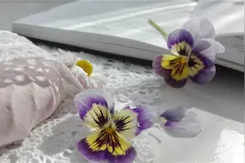 超励志的句子：人的一生最大的失败，不是跌倒，而是从来不敢奔跑图片