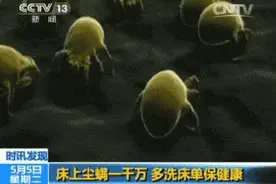 蚕丝被真的不敢再盖了？长期盖蚕丝被会发生这种变化图片