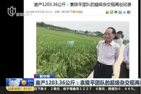 亩产1203.36公斤！袁隆平团队的超级杂交稻再创纪录视频封面