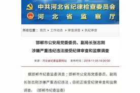 河北3市多人被查处！市公安局副局长落马……图片