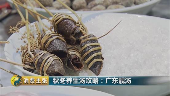 石斛花胶粉葛猪骨汤 2026年花胶石斛炖猪骨功效