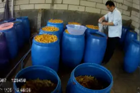 地沟油煎炸，双氧水浸泡！广州警方查获700公斤“毒鸡脚”视频封面