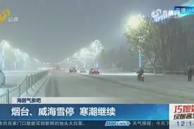 山东继续发布寒潮蓝色预警，烟台威海迎暴雪，局地降雪量达到11mm视频封面