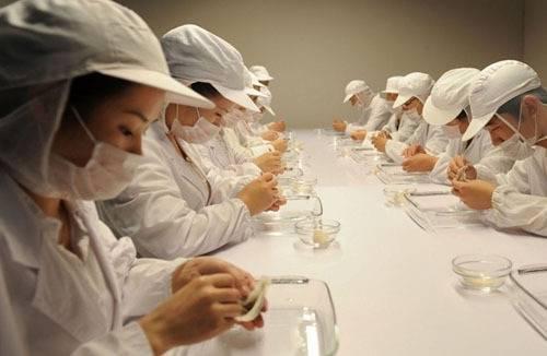 孕妇可以吃燕窝吗 2026年孕妇可以吃燕窝吗对胎儿有影响吗