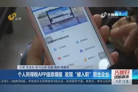 女子通过APP填报个人所得税，查看任职公司时，竟有“意外”收获视频封面