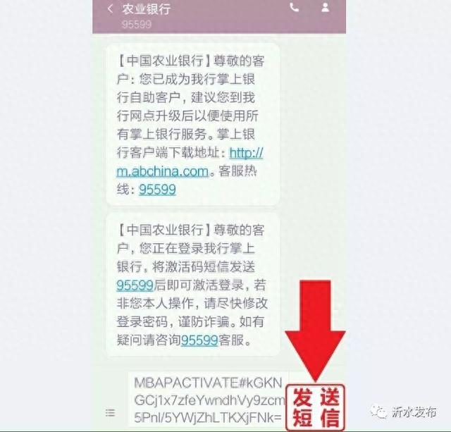 农业银行帐户查询系统，临沂医保怎么查 配图14