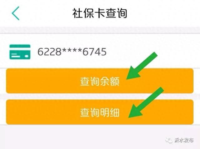 农业银行帐户查询系统，临沂医保怎么查 配图18