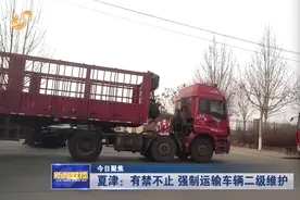今日聚焦｜夏津：有令不改 强制运输车辆二级维护视频封面