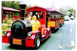 听丨美呆了~今年春节，黄石人可在家门口看自贡花灯