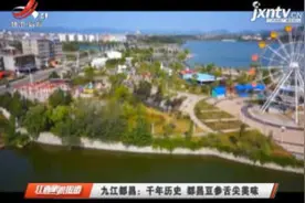 九江都昌：千年历史 都昌豆参舌尖美味