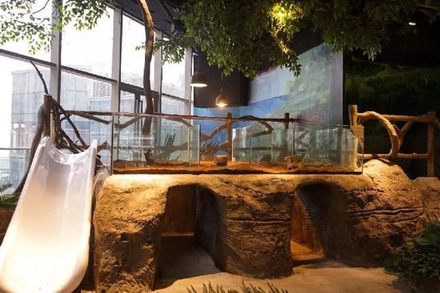 4500㎡巨型室内动物园惊现大石坝，3600只萌宠等你来撩！