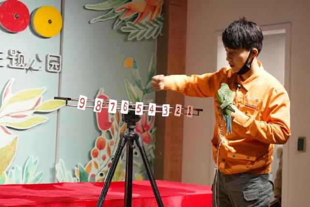 4500㎡巨型室内动物园惊现大石坝，3600只萌宠等你来撩！