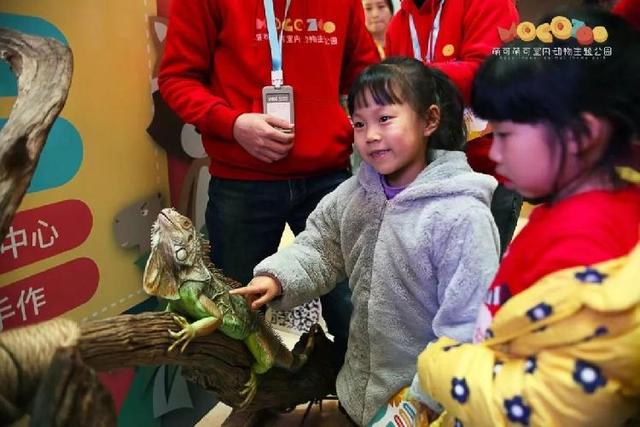 4500㎡巨型室内动物园惊现大石坝，3600只萌宠等你来撩！