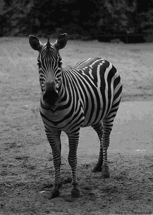 「荐读」这40个冷知识，据说只有1%的人知道，颠覆认知！