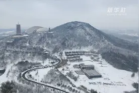 雪落金陵贺新春
