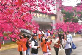 乡村游假期大热：民宿抢手 自驾车家庭游刷满朋友圈图片