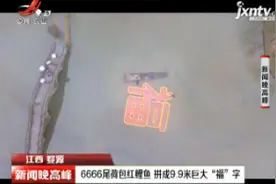 江西婺源：6666尾荷包红鲤鱼 拼成9.9米巨大“福”字视频封面