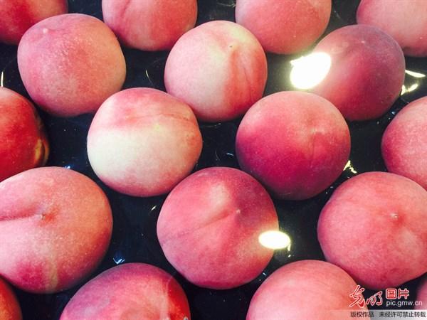 鱼皮胶原蛋白的功效与作用 2026年鱼皮胶原蛋白的功效与作用是什么