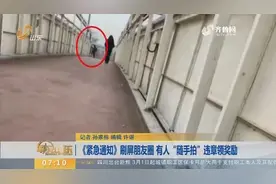 记者暗访济南专业“随手拍”：蹲点竞争者不少，举报一个能赚20元