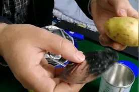正品赠品安全系数不同！家长喊话奶粉商视频封面