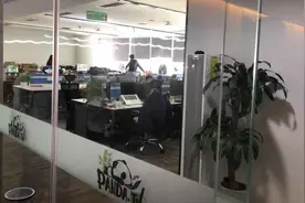 熊猫直播远去，留下慌乱的中小主播和初创企业的管理病图片