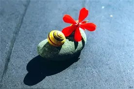 十月暖心微信说说：句句经典，给自己加油图片