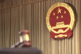 （两会热点聚焦）《新华纵横》捍卫公正 保障民生——两高报告里的为民情怀（半成品）（高清）视频封面