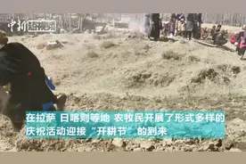 五彩牦牛拉出开年第一犁 西藏各地共迎传统“开耕节”视频封面