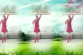 阿蓉广场舞《草原情缘》