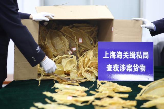 孕妇吃鱼鳔的功效与作用 孕妇吃鱼鳔的功效与作用咳嗽可以吃么