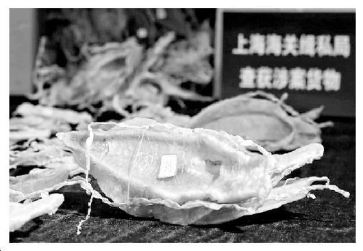 世界上最贵的鱼鳔 世界上最贵的鱼鳔排名